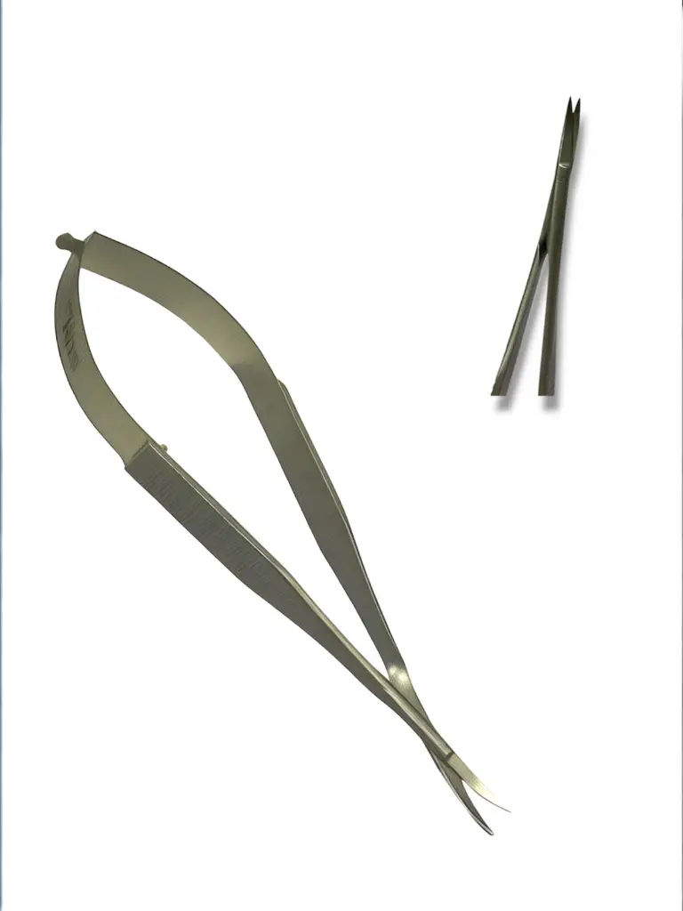 WhatsApp Image 2026-01-21 at 3.41.15 PM.webp