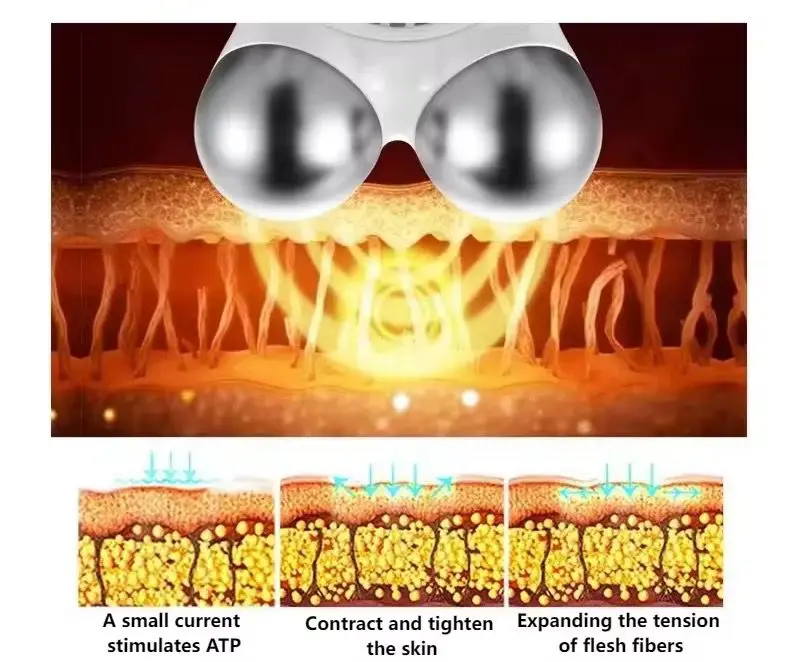 WhatsApp Image 2026-02-06 at 3.20.07 PM (1).webp