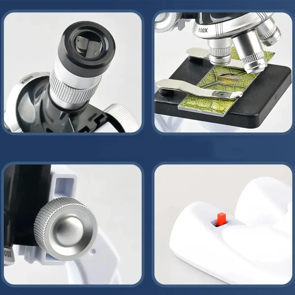 WhatsApp Image 2026-02-06 at 5.37.10 PM.webp