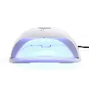 WhatsApp Image 2026-02-12 at 10.34.19 AM (1) - copia.webp