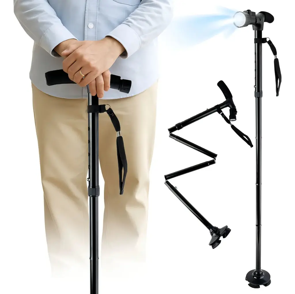 WhatsApp Image 2026-02-12 at 11.37.58 AM.webp