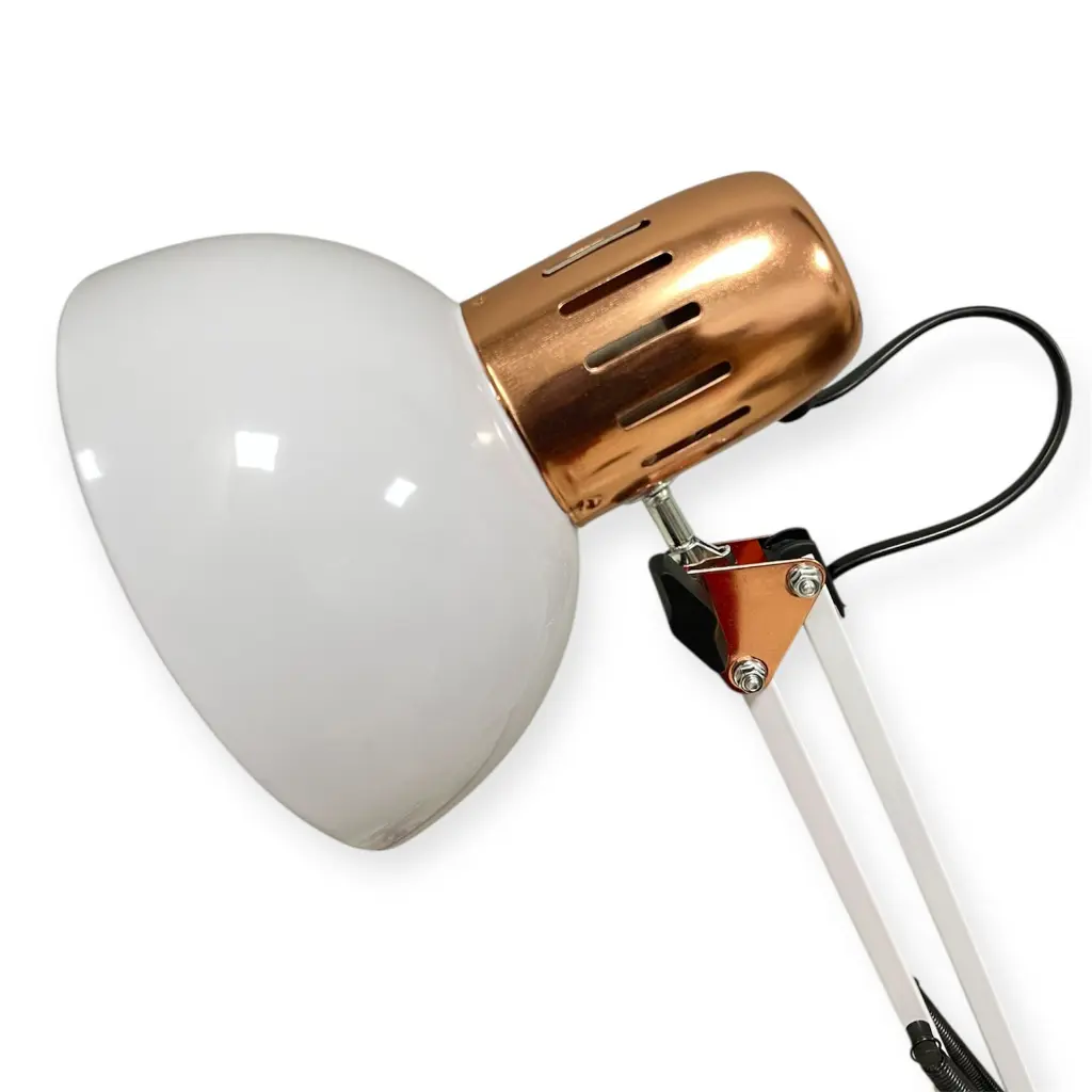 WhatsApp Image 2026-02-17 at 6.25.47 PM (4).webp