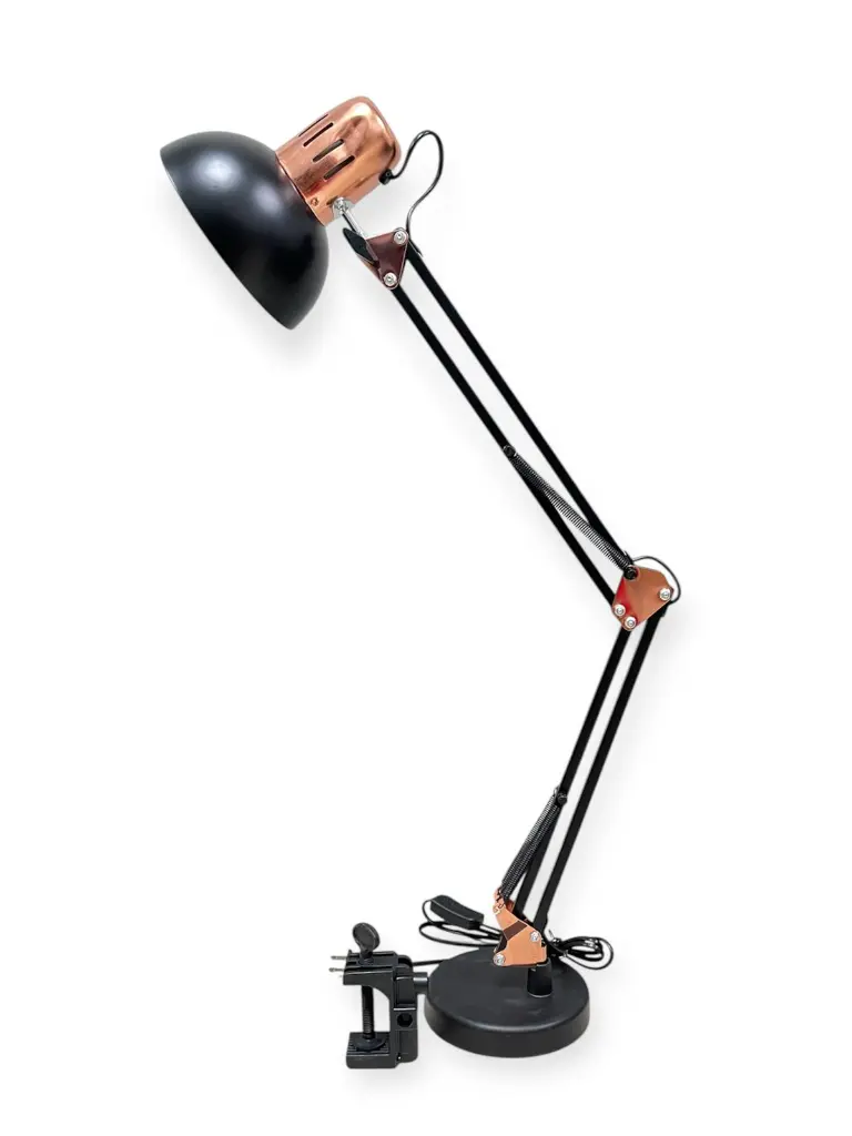 WhatsApp Image 2026-02-17 at 6.27.52 PM.webp