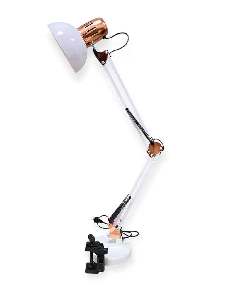 WhatsApp Image 2026-02-17 at 6.25.47 PM (2).webp