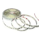 WhatsApp Image 2026-03-26 at 1.46.12 PM.webp